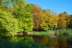 burgweiher
