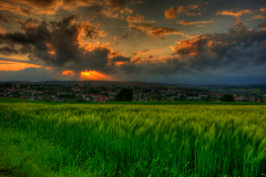 roggenfeld