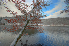 winter_003